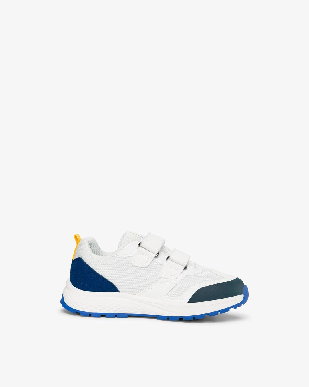 Century WP 2V (Eggshell/Blue)