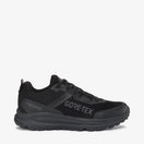 Stride Low GTX(Black)